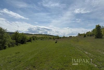 Teren de vânzare în Salistea Noua! - 3