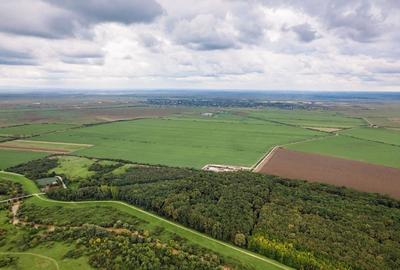 Teren 1584 Hectare pe lunca Mureșului - 2