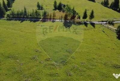Teren de 9685 mp, în Neagra - 7