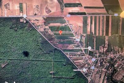 Teren de 704 mp, în Ciolpani - 1
