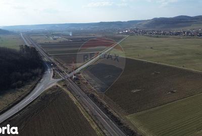 Teren de 19319 mp, în Laslea - 11