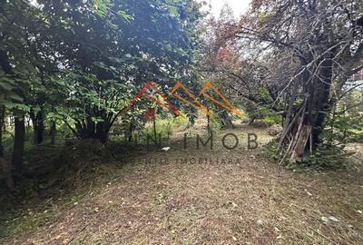 Teren intravilan, 1900 m2, zona Campinita, Campina, Prahova - 14