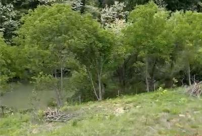 Teren de 10000 mp, în Central - 13