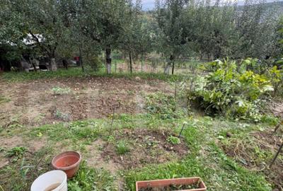 Teren intravilan de vanzare, 556 mp, zona strada Taberei - 4