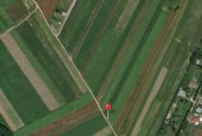 Teren de 5000 mp, în Bod - 2