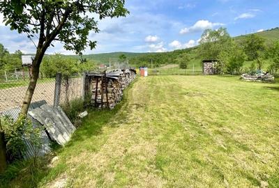 Casă individuală cu 5 camere cu Teren 10000 Mp în Orman - 6