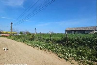 Teren Bradesti, ID: R2805453 - 3