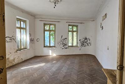 Proprietate exceptionala - Armeneasca - Cercului 2A - 7