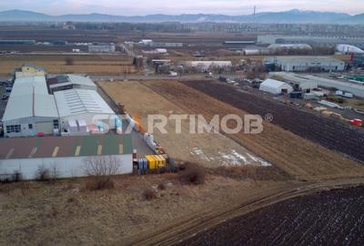 Teren intravilan DN 13 pretabil activitati comerciale - 6