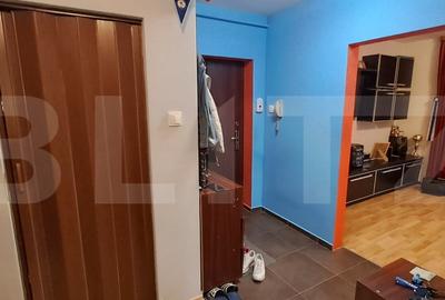 Apartament 2 camere, parter inalt ,zona Porii - 11