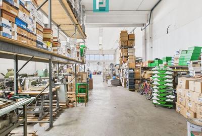 Hală de producție, cu birouri și teren, în Sebiș - 55