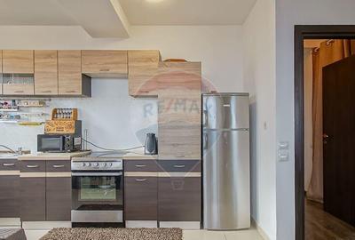 Apartament cu 3 camere semidecomandat, mobilat în Drumul Poienii - 1