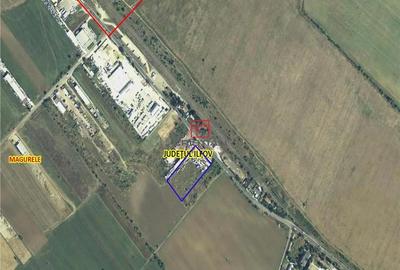 Teren de 10000 mp, în Măgurele - 1