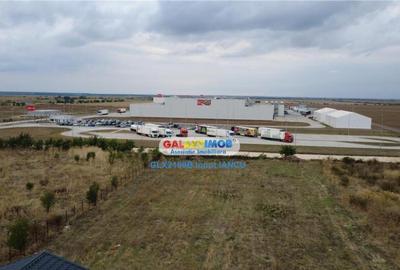 Teren 3000 m.p. Penny Mihailesti - 4