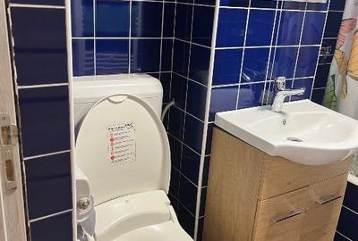 Apartament cu 3 camere decomandat în Girocului - 10