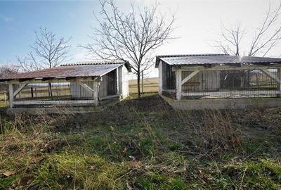 Teren intravilan de 3408 mp, în Voivozi (Popești) - 13