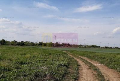 Teren aproape de Bucuresti langa padure între case - 2