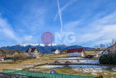 Pensiune 20 camere castelul Bran - 20