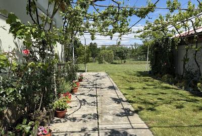 Casă cu 4 camere cu Teren 1439 Mp în Central - 8