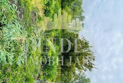 Casa individuala Covaci- 1000mp teren - 3