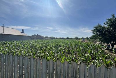 Teren agricol intravilan de 1000 mp, în Lunca Banului - 1