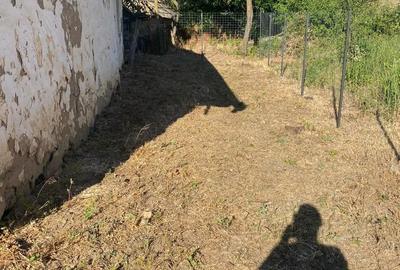 Casă cu Teren 250 Mp în Silvaș - 9