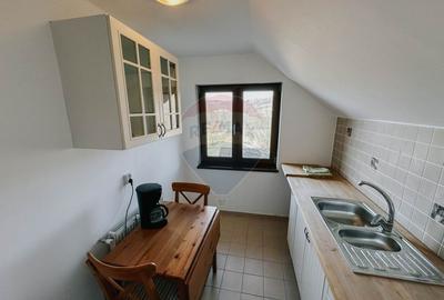 Vila de vanzare cu potential turistic - Valea Mare Pravat - 10