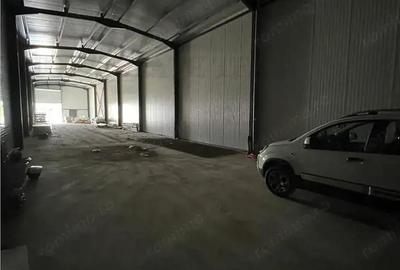 Spațiu comercial, de 435 mp, în Ulmi - 13