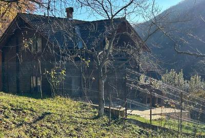 Casă cu 1 camere cu Teren 37500 Mp în Poderei - 2