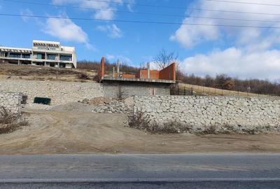 Teren de 700 mp, în Eșelnița - 2