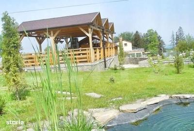 Spațiu comercial, de 750 mp, în Filioara - 5