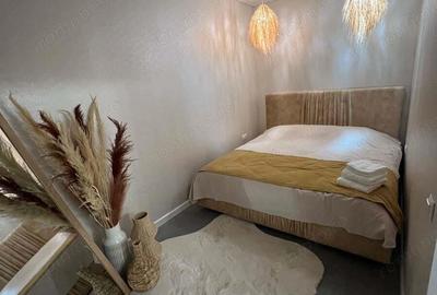 Apartament cu 3 camere în Sebastian