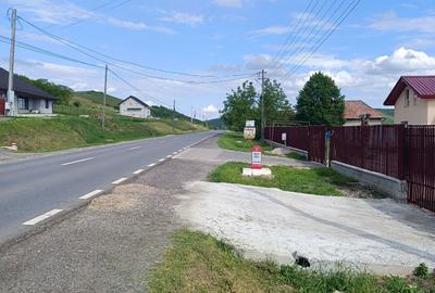 Teren de 2380 mp, în Căianu - 3