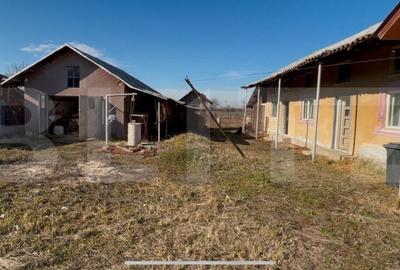 Casa Gaesti cu teren de 5000mp - 11