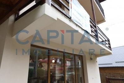 Casa de vacanta/pensiune in Dambovicioara, Arges - 36