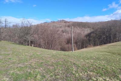 Spațiu comercial, în Borod - 6