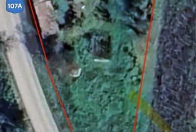 Casă cu 3 camere în Cărpiniș - 3