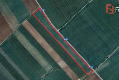 COMISION 0% Teren extravilan 4,47 ha, 800m front stradal, Peciu Nou - ID V5491 - 7