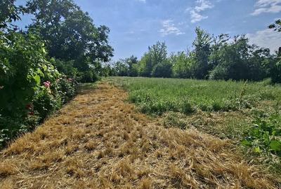 Casă cu Teren 2600 Mp în Movila Miresii - 5