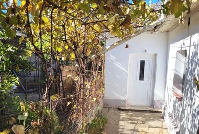 Casa Alexandru Iliescu - 3