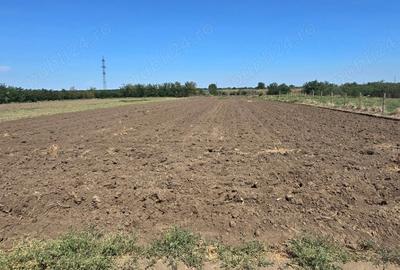Teren de 5000 mp, în Lacu Sărat - 3