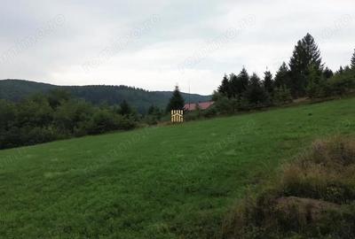 Teren de 5023 mp, în Voroneț - 3