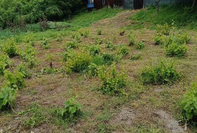 Dolj Casa cu teren generos (10.300 mp) in sat Ungureni - 5