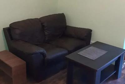 Garsoniera de vanzare,zona Take Ionescu - 3