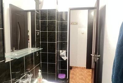 Garsoniera Mall Vitan, 10 minute de metrou, mobilata si utilata modern, libera - 9