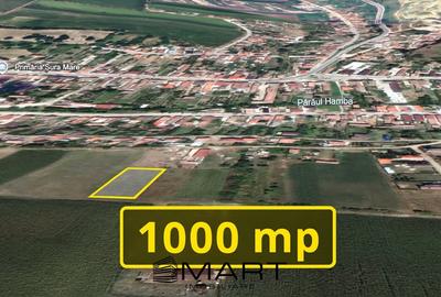 Teren extravilan 1000mp Sura Mare - 1