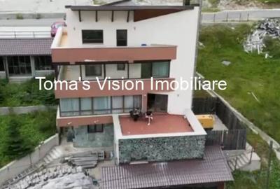 Vanzari Case / vile - 3