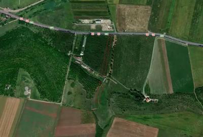 Teren de 8600 mp, în Central - 2