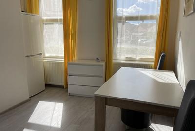 Apartament cu 2 camere semidecomandat în Griviței - 4
