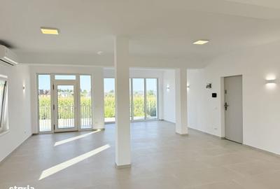 Spațiu comercial, de 80 mp, în Lisaura - 5